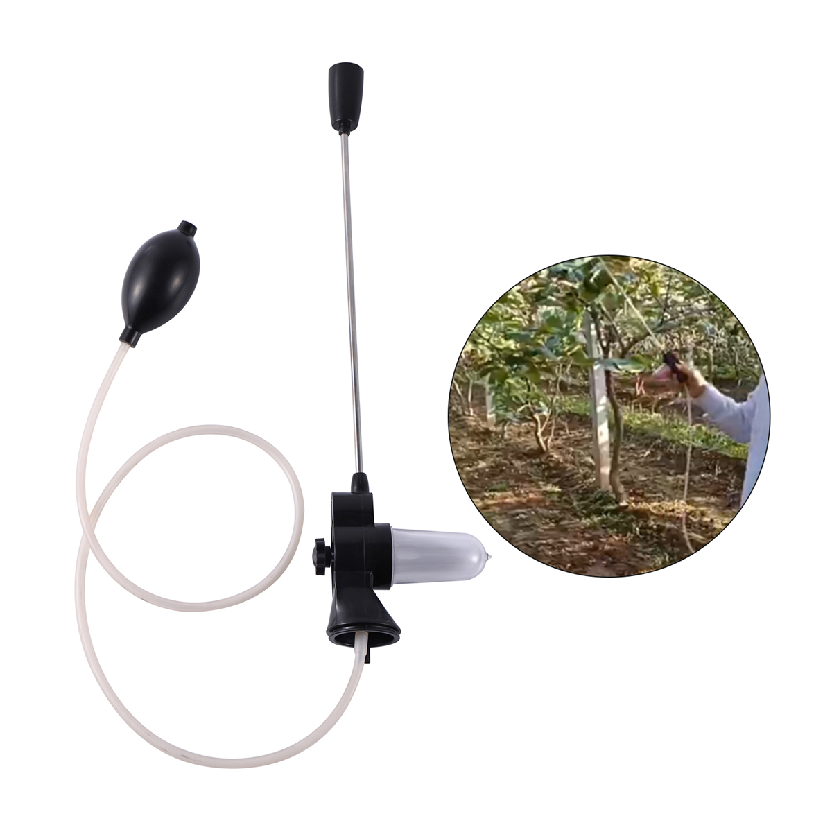 Telescopic Rod Pollen Pollinat - Fishing Rod Telescopic avaliação e preço